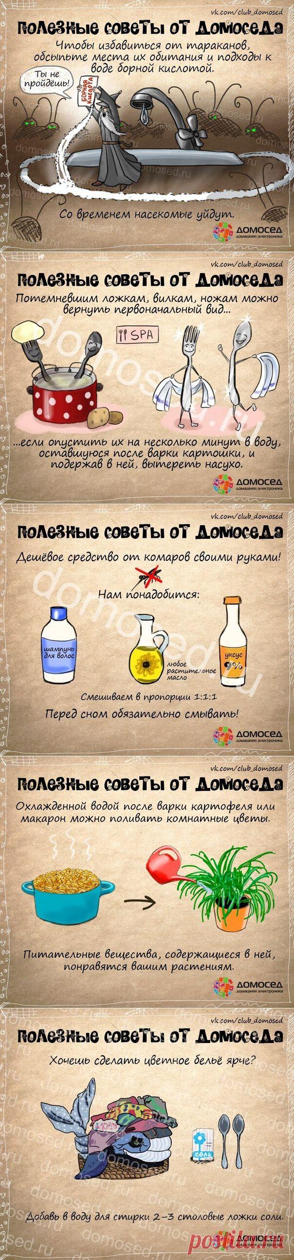 Полезные советы от Домоседа пригодятся всем!