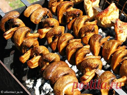 Шашлык из шампиньонов - Foodclub — кулинарные рецепты с пошаговыми фотографиями