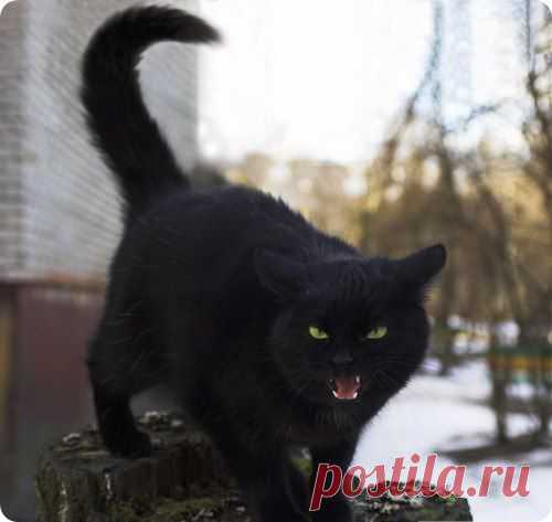 geram: Каким судом судите,таким будете судимы;и какою мерою мерите,такою и вам будут мерить---Иисус Христос