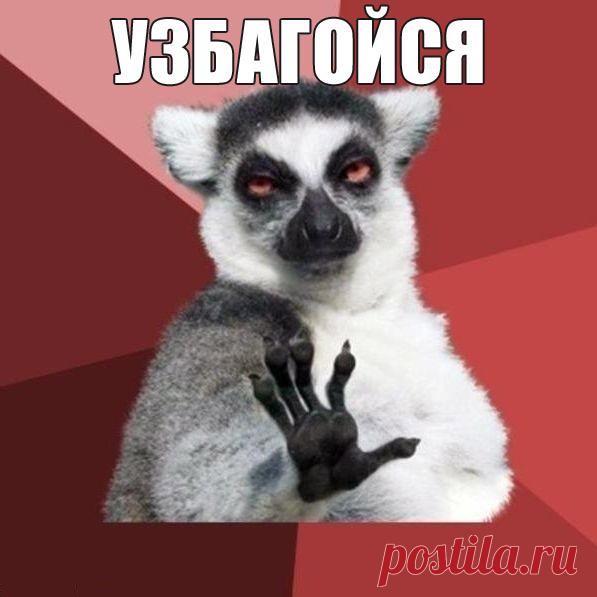 Узбагойся - мем про лемура, описание и история мема Узбагойся