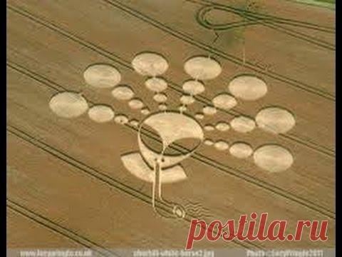 Разоблачение КРУГОВ НА ПОЛЯХ за 5 минут! - YouTube