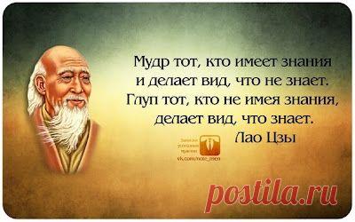 мудрые высказывания в картинках - Поиск в Google