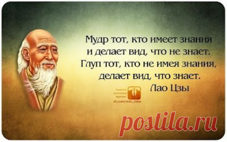мудрые высказывания в картинках - Поиск в Google