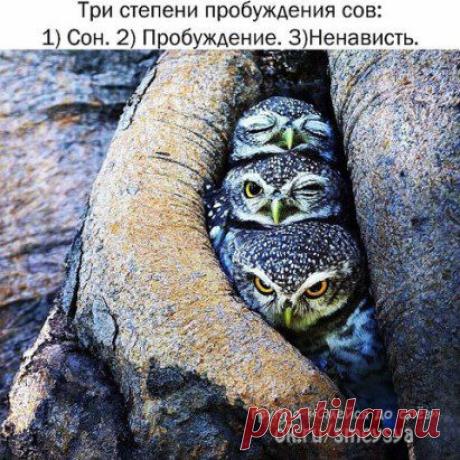 СОХРАНИТЬУстановить себе