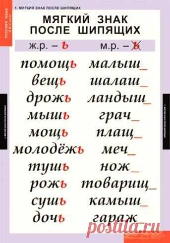 (14) Pinterest
