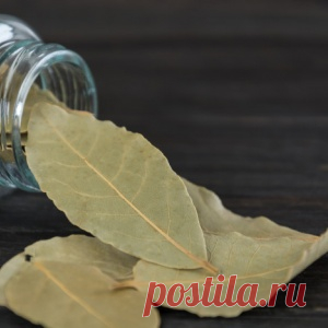 Вот что будет, если поджечь в квартире лавровый лист!