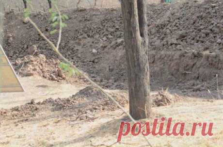 Тест: лишь самые внимательные найдут леопарда.
Здравствуйте дорогие зрители моего канала сегодня у нас будет тест на внимательность ваша задача найти на картинке леопарда. Ваша задача
Читай дальше на сайте. Жми подробнее ➡