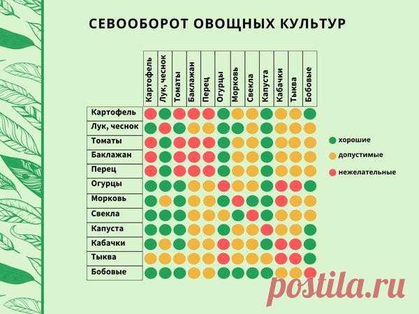 Севооборот в огороде: таблица плодосмена овощных культур