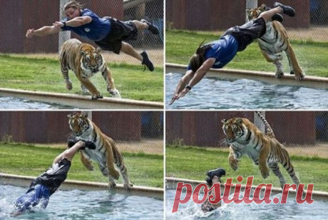 Эпик фэйлы - Утканос