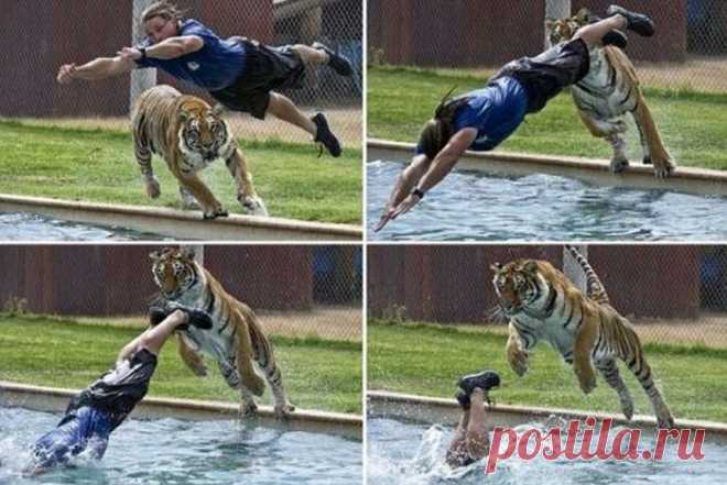 Эпик фэйлы - Утканос