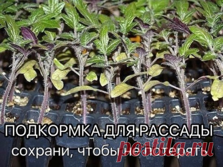 (63) Одноклассники