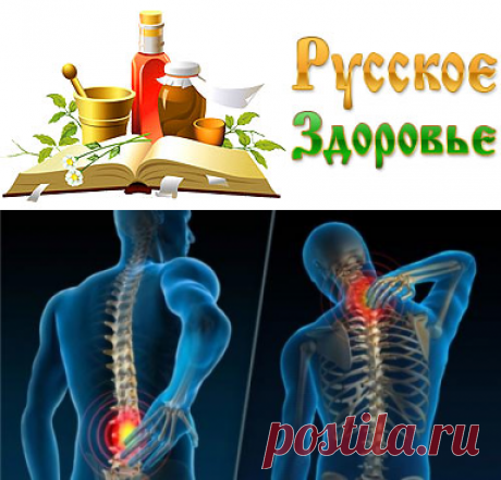 В чем отличается хондроз от остеохондроза