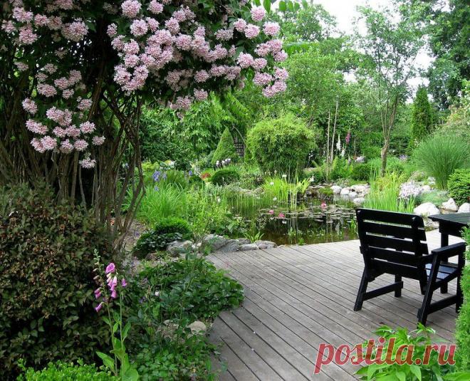 Сад Helen Lanninger. Швеция