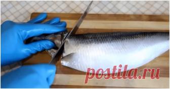 Уникальный способ почистить селедку: просто надави и получи филе ...