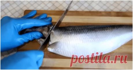 Уникальный способ почистить селедку: просто надави и получи филе ...