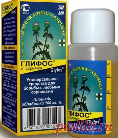 Щирица: фото, как избавиться 