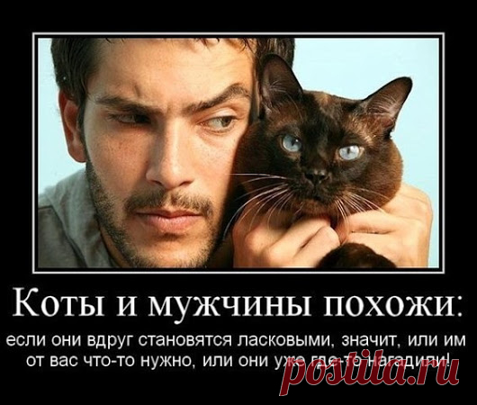 Google+