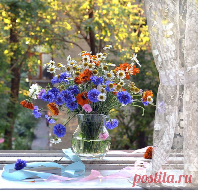 как навести идеальную чистоту на кухне