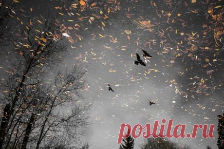 «Осеннее отражение». Фотографию томского пруда сделал Михаил: nat-geo.ru/photo/user/354454/