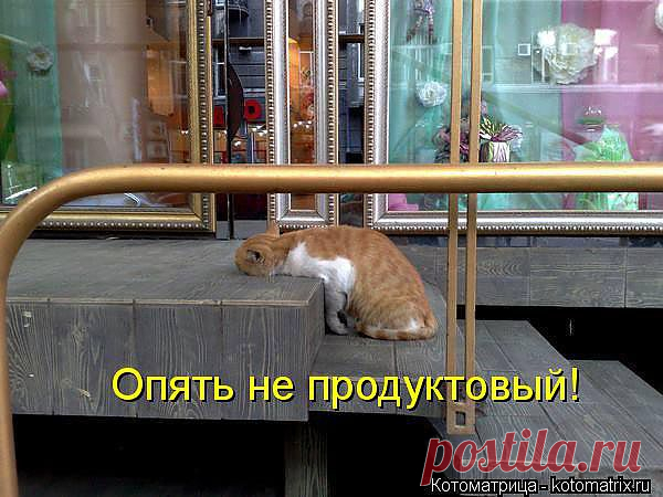 original.jpg (600×450)