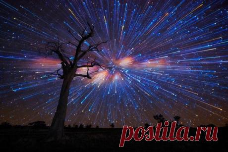 Потрясающие фото звездопада | web-assorti.ru