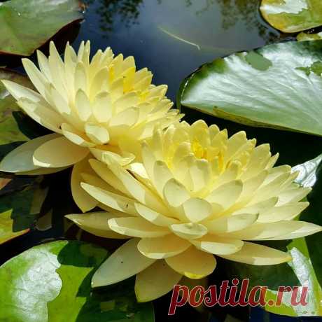 Редактировать описание