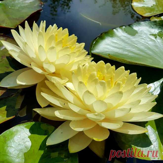 Редактировать описание