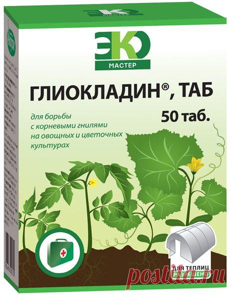 Биопрепараты от болезней растений. Как побороть вредителей. | Самоцветик