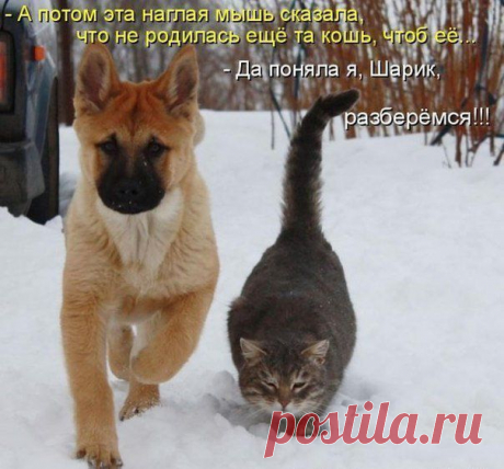 Фотографии на стене сообщества | 32 790 фотографий