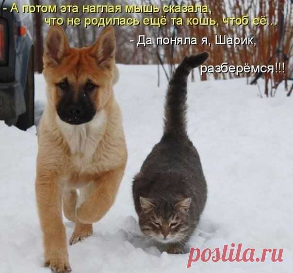 Фотографии на стене сообщества | 32 790 фотографий