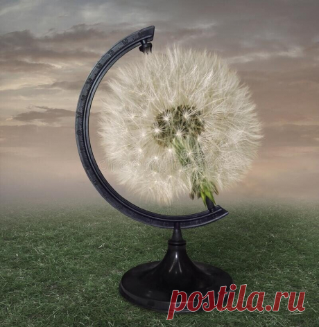 Ах ты, шарик голубой, 
грустная планета, 
что ж мы делаем с тобой, 
для чего всё это?! 
 
Всё мы топчемся в крови, 
а ведь мы могли бы... 
Реки, полные любви, 
по тебе текли бы.

Булат Окуджава
1961 г.