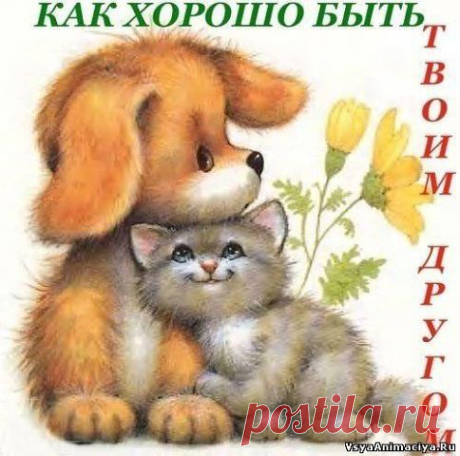 (48) Одноклассники
