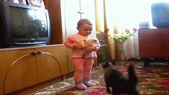 Живые фотографии – Сообщество – Google+