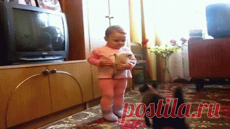 Живые фотографии – Сообщество – Google+