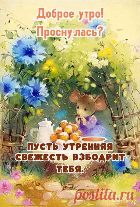 С Добрым утром девушке