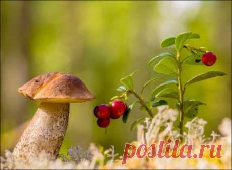 .... Фотограф Бурлов Андрей
