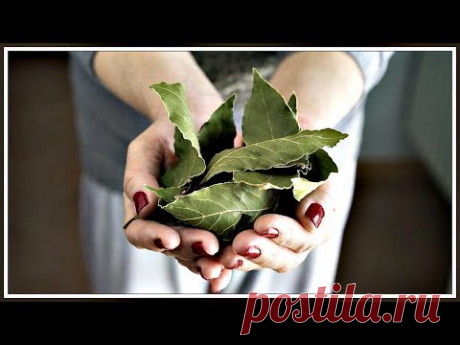 Приложи ЛАВРОВЫЙ лист - эффект УДИВИТ! От носогубных складок и морщин.