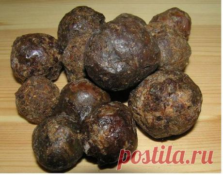 Прополис - уникальный полезный продукт пчеловодства. 


Чтобы создать прополис, пчёлы по капелькам собирают клейкую смолу с почек деревьев, а затем обогащают её своими ферментами. 

Для своей защиты от окружающей среды пчелы используют прополис, который защищает их улей от вредителей и болезней. 

Это вещество широкого спектра действия, которое пчелы производят, используя растительные компоненты. 

На почках растений для защиты побегов от неблагоприятных факторов выделяютс...