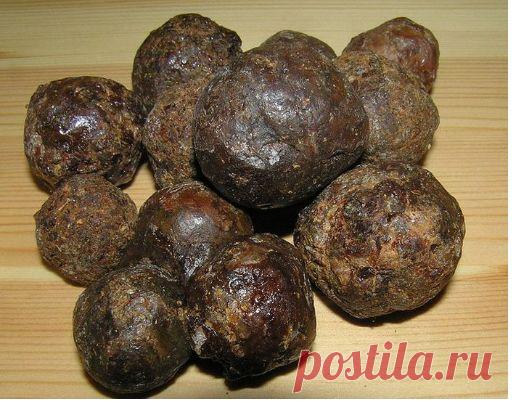 Прополис - уникальный полезный продукт пчеловодства. 


Чтобы создать прополис, пчёлы по капелькам собирают клейкую смолу с почек деревьев, а затем обогащают её своими ферментами. 

Для своей защиты от окружающей среды пчелы используют прополис, который защищает их улей от вредителей и болезней. 

Это вещество широкого спектра действия, которое пчелы производят, используя растительные компоненты. 

На почках растений для защиты побегов от неблагоприятных факторов выделяютс...