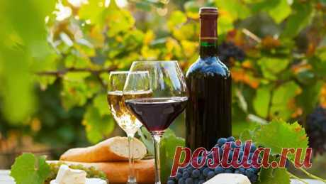 Игристое вино, мадера и коньяк: чем удивляют отечественные виноделы - РИА Новости, 26.11.2018