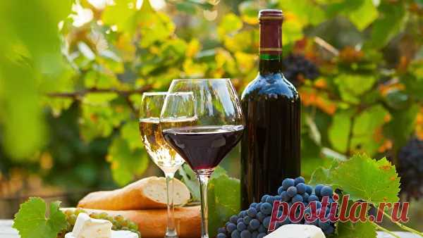 Игристое вино, мадера и коньяк: чем удивляют отечественные виноделы - РИА Новости, 26.11.2018