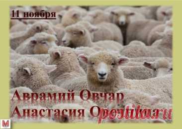 Вслед за покровительницей ткачества и прядения Параскевой Пятницей, связанной в первую очередь с растительным волокном коноплей и льном, поминается святая Анастасия, помогающая в работе с шерстяной пряжей. Открытки на День памяти Аврамия Овчар и Анастасии Овечницы!