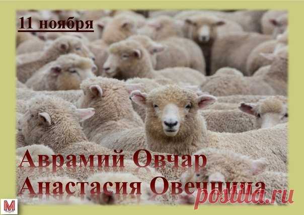 Вслед за покровительницей ткачества и прядения Параскевой Пятницей, связанной в первую очередь с растительным волокном коноплей и льном, поминается святая Анастасия, помогающая в работе с шерстяной пряжей. Открытки на День памяти Аврамия Овчар и Анастасии Овечницы!