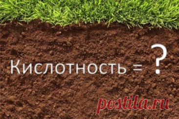 Как на дачном участке определить кислотность почвы? — Домашние заботы