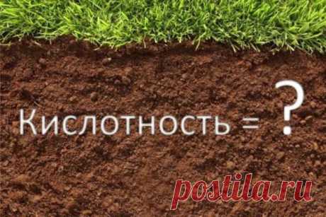 Как на дачном участке определить кислотность почвы? — Домашние заботы