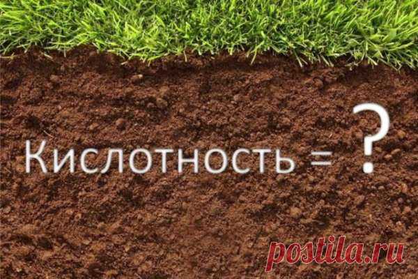 Как на дачном участке определить кислотность почвы? — Домашние заботы