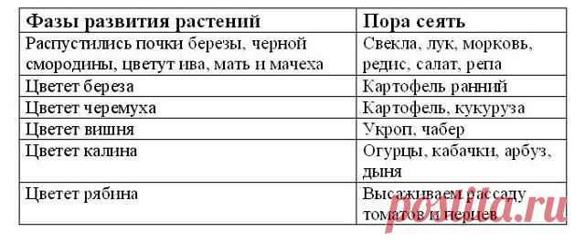 (82) Одноклассники