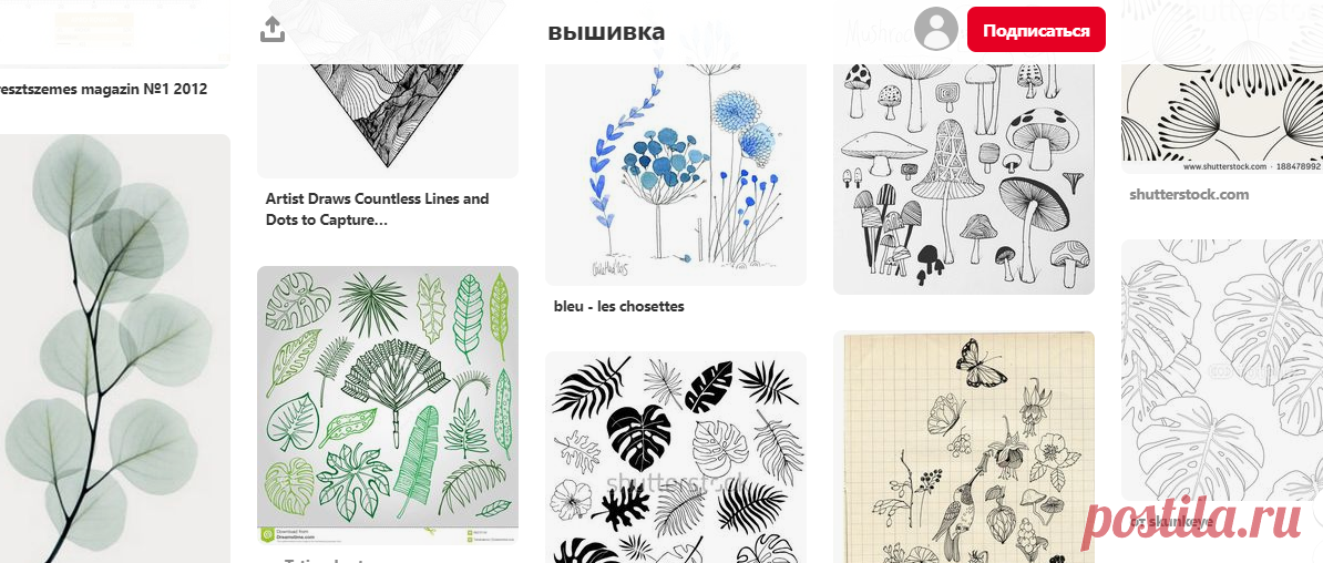 (1855) Pinterest