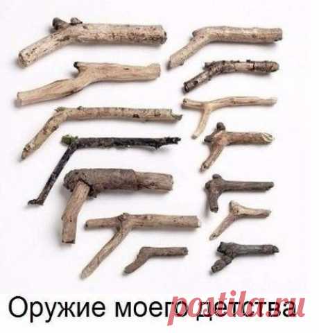 Популярные записи по теме «детство»