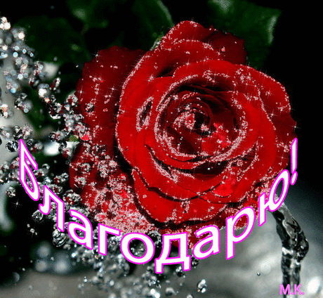 Плейкаст «БЛАГОДАРЮ ОТ ДУШИ!!!»
